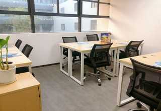 普陀区塑料绿植墙