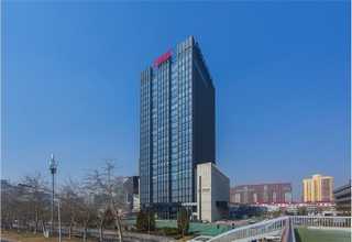 南宁仿真植物环保