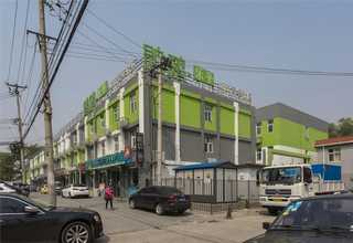 南京市企业植物出租批发